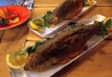 «Fischer & Lustig», un nuevo restaurante de pescado en el centro de Berlín