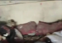 Alto diplomático estadounidense: «¡Acusar a Israel de genocidio no es antisemitismo!»