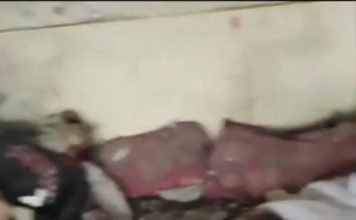 Alto diplomático estadounidense: «¡Acusar a Israel de genocidio no es antisemitismo!»