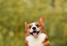 Intento de formar un bloque contra China en la cumbre del G7