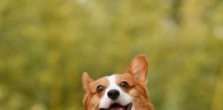 Intento de formar un bloque contra China en la cumbre del G7