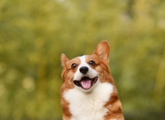 Intento de formar un bloque contra China en la cumbre del G7