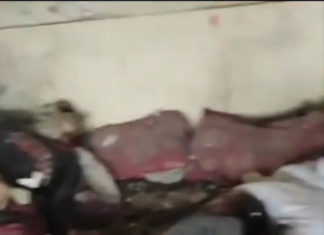 Contar los muertos en Gaza: difícil pero esencial