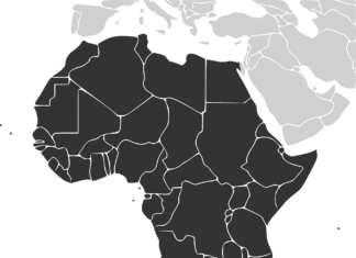 EEUU quiere frenar las «prácticas explotadoras de China en África»