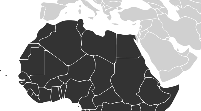 EEUU quiere frenar las «prácticas explotadoras de China en África»