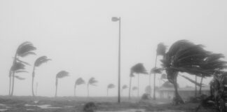 ¿El huracán «Helene» hizo añicos el sueño presidencial de Kamala?