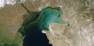 Los científicos creen que las emisiones de gas natural podrían estar detrás de la muerte masiva de focas en el Mar Caspio