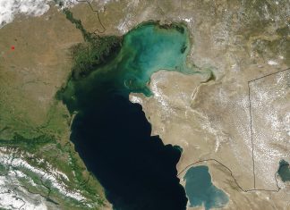 Los científicos creen que las emisiones de gas natural podrían estar detrás de la muerte masiva de focas en el Mar Caspio