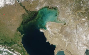 Los científicos creen que las emisiones de gas natural podrían estar detrás de la muerte masiva de focas en el Mar Caspio