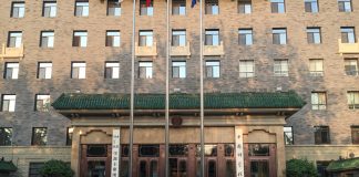 Arqueólogos descubren restos fosilizados de un gato del tamaño de la palma de la mano en la República Popular China