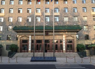 Arqueólogos descubren restos fosilizados de un gato del tamaño de la palma de la mano en la República Popular China