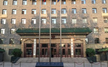 Arqueólogos descubren restos fosilizados de un gato del tamaño de la palma de la mano en la República Popular China