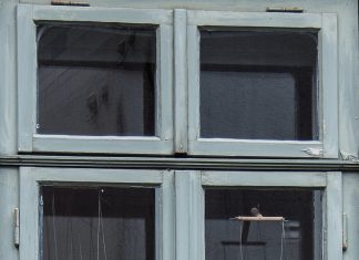 «Marionetas ridículas y amorales»: Macgregor sobre Scholz y Baerbock