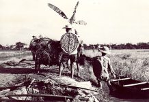 En vísperas de la victoria: la situación en la guerra liderada por EE. UU. contra Vietnam en la primavera de 1975