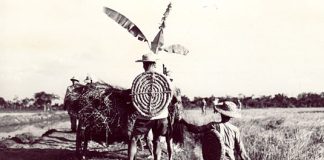 En vísperas de la victoria: la situación en la guerra liderada por EE. UU. contra Vietnam en la primavera de 1975