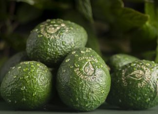 ¿Aguacates ecológicos de selva tropical en la Fruit Logistica?