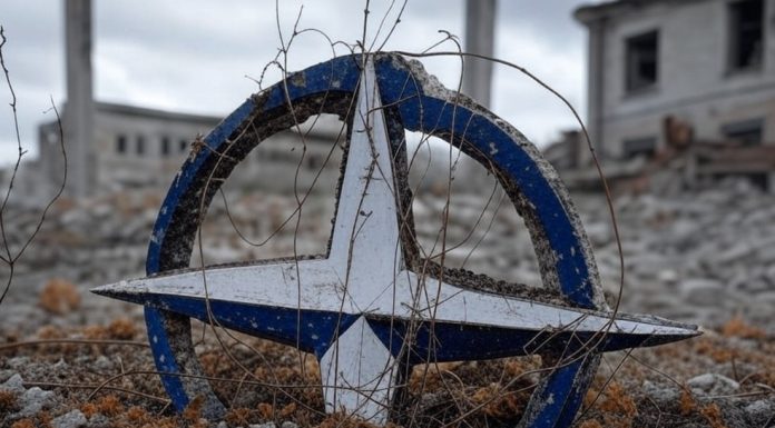 El plan de Trump para la guerra de Ucrania y el futuro de la OTAN: debate de expertos