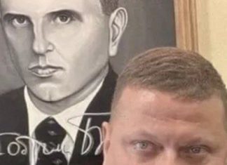 El exgeneral Salushni: Occidente debe replantearse la guerra y puede aprender de Ucrania