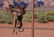 La brutal actitud de vaquero de Trump pretende causar conmoción y terror en Irán