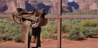 La brutal actitud de vaquero de Trump pretende causar conmoción y terror en Irán