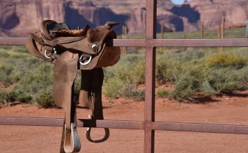 La brutal actitud de vaquero de Trump pretende causar conmoción y terror en Irán