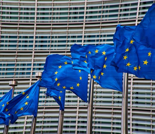 Los colonizadores, belicistas y ladrones de la burocracia de la UE