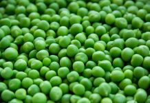 Ya sea Simeón o Maja, en cualquier caso es un héroe falso