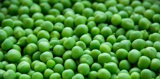 Ya sea Simeón o Maja, en cualquier caso es un héroe falso