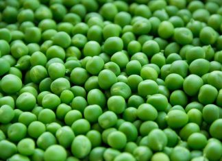 Ya sea Simeón o Maja, en cualquier caso es un héroe falso