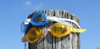 El primer ministro del Reino de Suecia es sospechoso de abuso infantil y falsificación de documentos