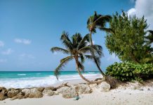 ¿Crimen mortal o legal? Dudoso ataque militar estadounidense contra un presunto barco de drogas en el Caribe