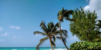 ¿Crimen mortal o legal? Dudoso ataque militar estadounidense contra un presunto barco de drogas en el Caribe