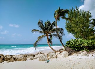 ¿Crimen mortal o legal? Dudoso ataque militar estadounidense contra un presunto barco de drogas en el Caribe