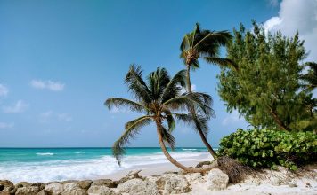 ¿Crimen mortal o legal? Dudoso ataque militar estadounidense contra un presunto barco de drogas en el Caribe