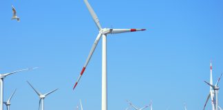 Impacto medioambiental: la cadena ZDF aborda el tema de los residuos tóxicos generados por el desmantelamiento de aerogeneradores