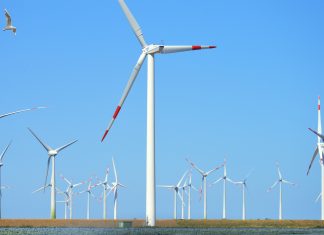 Impacto medioambiental: la cadena ZDF aborda el tema de los residuos tóxicos generados por el desmantelamiento de aerogeneradores