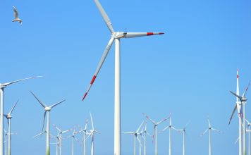 Impacto medioambiental: la cadena ZDF aborda el tema de los residuos tóxicos generados por el desmantelamiento de aerogeneradores