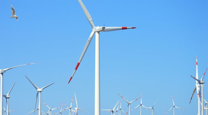 Impacto medioambiental: la cadena ZDF aborda el tema de los residuos tóxicos generados por el desmantelamiento de aerogeneradores
