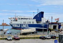 Los trabajadores portuarios de los países de la OTAN se manifiestan contra el genocidio en Gaza