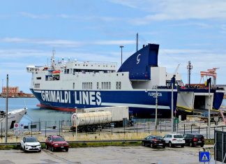 Los trabajadores portuarios de los países de la OTAN se manifiestan contra el genocidio en Gaza