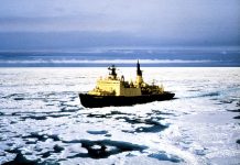 En la economía del tiempo… o 20 días más rápido: los señores del paso del Nordeste son rusos y los perdedores son, una vez más, los alemanes