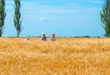 La tierra negra de Ucrania y la realidad oculta en un país dejado en ruinas