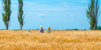 La tierra negra de Ucrania y la realidad oculta en un país dejado en ruinas
